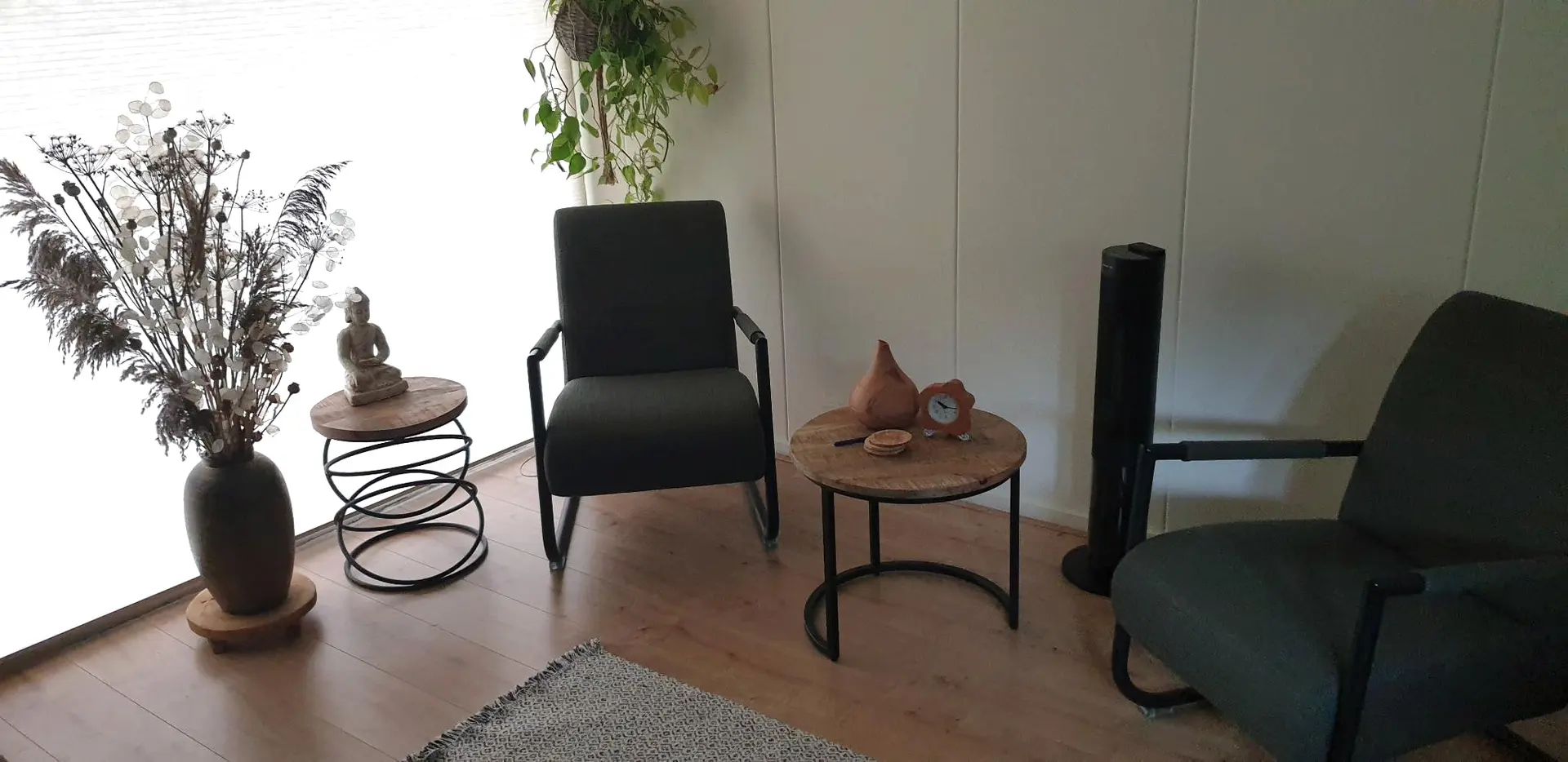 De spreekkamer van de praktijk: twee groene fauteuils, bijzettafels en planten bij het raam